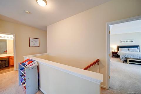 9923 Willow Leaf Ln, Cornelius, NC 28031 photo 18