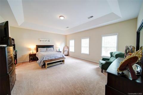 9923 Willow Leaf Ln, Cornelius, NC 28031 photo 13