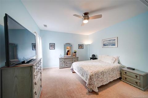 9923 Willow Leaf Ln, Cornelius, NC 28031 photo 25