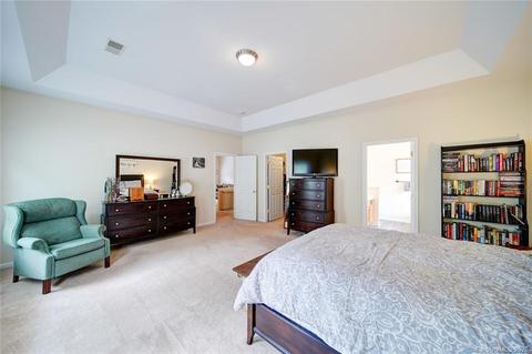 9923 Willow Leaf Ln, Cornelius, NC 28031 photo 15
