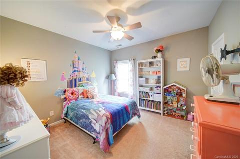 9923 Willow Leaf Ln, Cornelius, NC 28031 photo 21