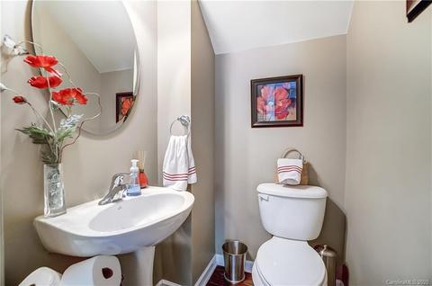 17228 Lake Path Dr, Cornelius, NC 28031 photo 20