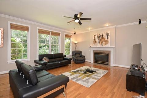 17002 Winged Thistle Ct, Davidson, NC 28036 photo 19