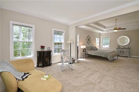 17002 Winged Thistle Ct, Davidson, NC 28036 photo 26