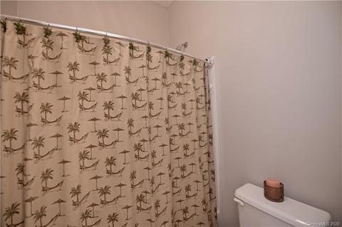 17002 Winged Thistle Ct, Davidson, NC 28036 photo 38