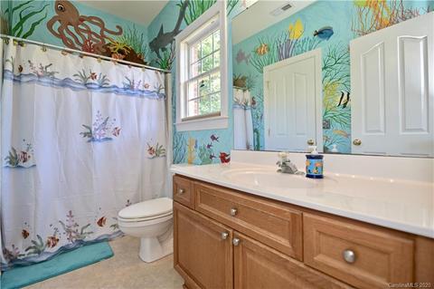 17002 Winged Thistle Ct, Davidson, NC 28036 photo 33