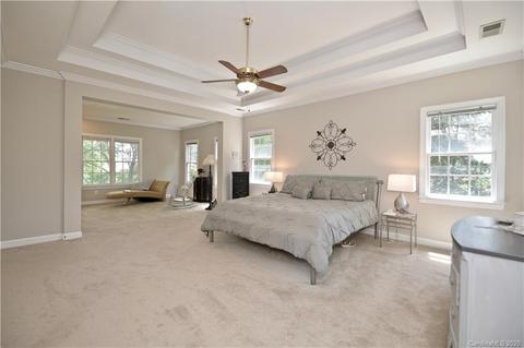 17002 Winged Thistle Ct, Davidson, NC 28036 photo 23
