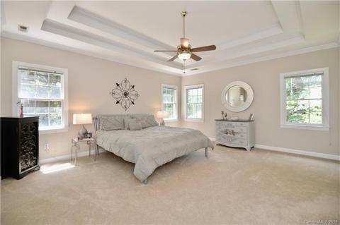 17002 Winged Thistle Ct, Davidson, NC 28036 photo 24