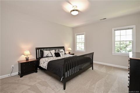 17002 Winged Thistle Ct, Davidson, NC 28036 photo 35
