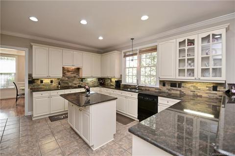 17002 Winged Thistle Ct, Davidson, NC 28036 photo 17