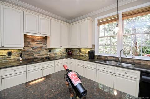 17002 Winged Thistle Ct, Davidson, NC 28036 photo 16