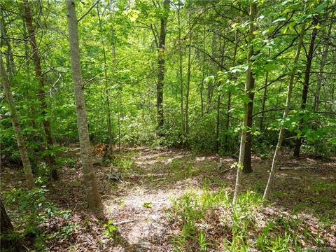 883 Highland View Ln, Mill Spring, NC 28756 photo 41