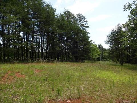 1497 Sandy Plains Rd, Tryon, NC 28782 photo 3