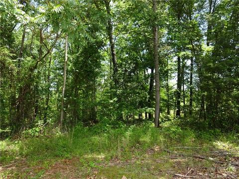 1497 Sandy Plains Rd, Tryon, NC 28782 photo 5