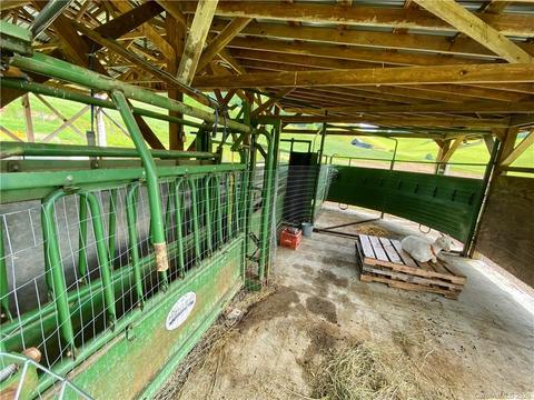 618 Glades Rd, Clyde, NC 28721 photo 32