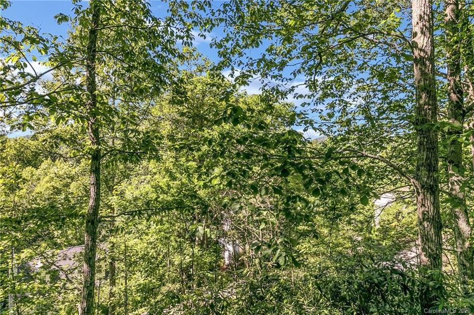 46 Surrey Run, Asheville, NC 28803 photo 41