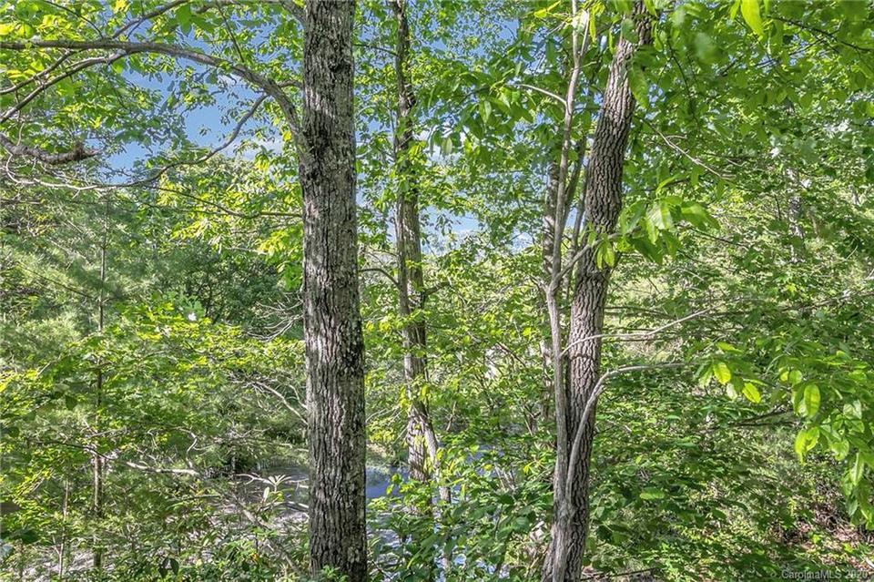  46 Surrey Run, Asheville, NC 28803 photo 42