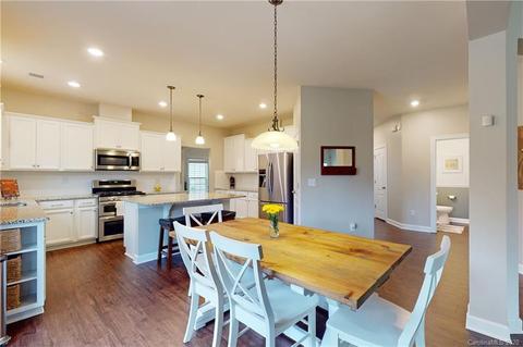 9923 Travertine Trl, Davidson, NC 28036 photo 17