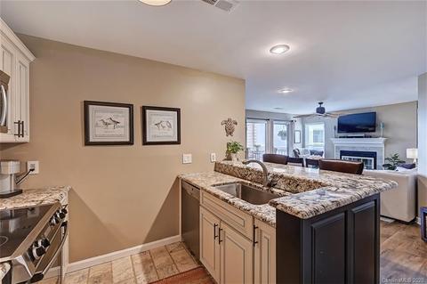 18833 Vineyard Point Ln, Cornelius, NC 28031 photo 23