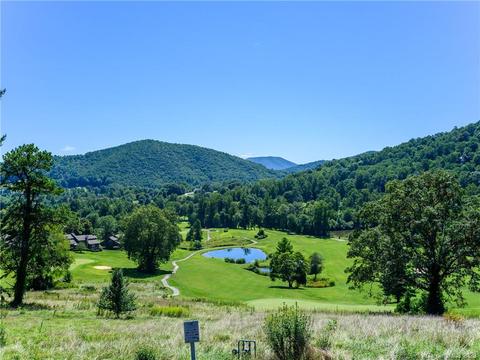 53 Devonshire Dr, Mills River, NC 28759 photo 45