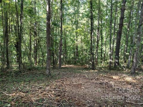 39 Baxter Woods 8 Ln #8, Candler, NC 28715