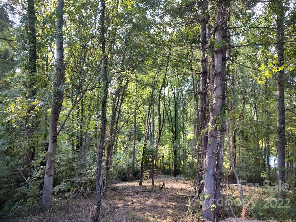 43 Baxter Woods 9 Ln Unit 9