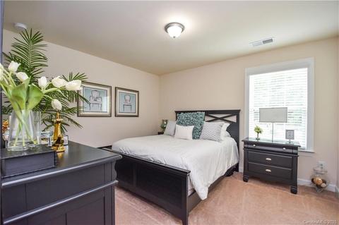 10550 Alabaster Dr, Davidson, NC 28036 photo 32