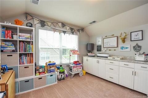 10550 Alabaster Dr, Davidson, NC 28036 photo 36