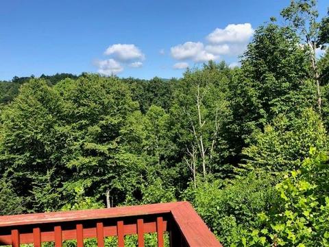 696 Blue Rock Rd, Purlear, NC 28665 photo 4
