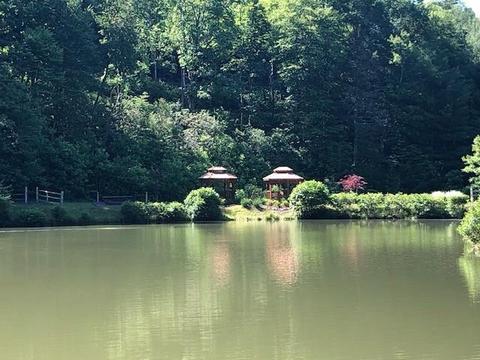 696 Blue Rock Rd, Purlear, NC 28665 photo 25