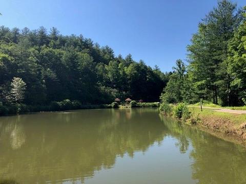 696 Blue Rock Rd, Purlear, NC 28665 photo 24