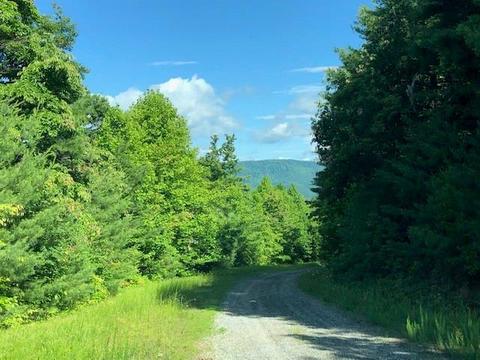 696 Blue Rock Rd, Purlear, NC 28665 photo 23