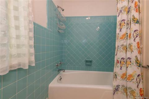 300 Doubleday Rd, Tryon, NC 28782 photo 22