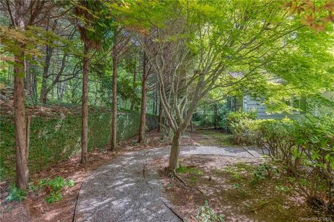 300 Doubleday Rd, Tryon, NC 28782 photo 4