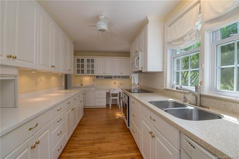 300 Doubleday Rd, Tryon, NC 28782 photo 14