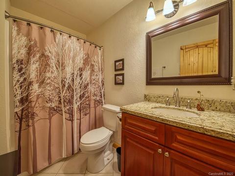657 Split Pine Cv, Clyde, NC 28721 photo 38