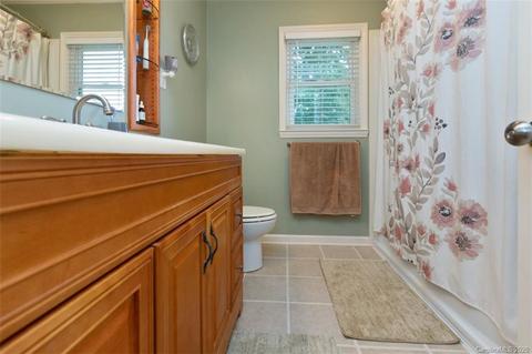 3741 Shannon Loop, Denver, NC 28037 photo 22
