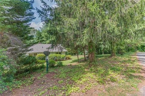 60 Pampas Ln, Tryon, NC 28782 photo 41