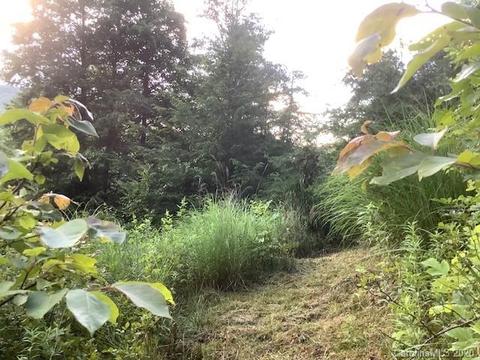 3372 E Grapevine Ne Rd NE, Marshall, NC 28753 photo 3