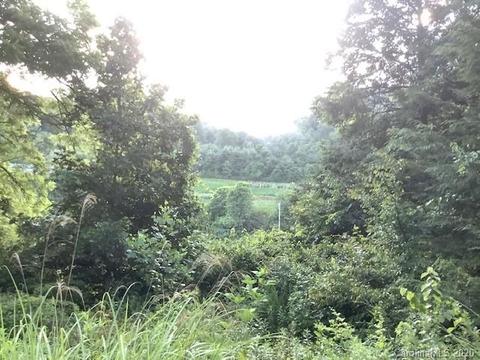 3372 E Grapevine Ne Rd NE, Marshall, NC 28753 photo 4