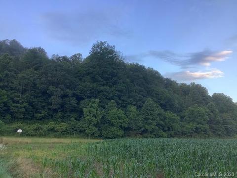 3372 E Grapevine Ne Rd NE, Marshall, NC 28753 photo 2