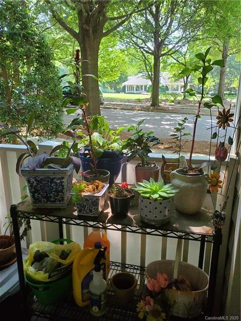 18605 Ruffner Dr #1A, Cornelius, NC 28031 photo 8