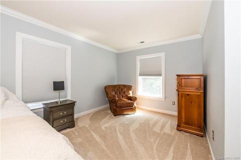 10700 Alabaster Dr, Davidson, NC 28036 photo 29