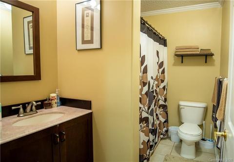 60 Common Ground Dr, Flat Rock, NC 28731 photo 9