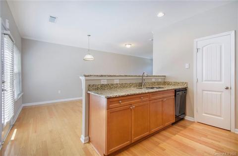 913 Central Park Cir, Davidson, NC 28036 photo 7