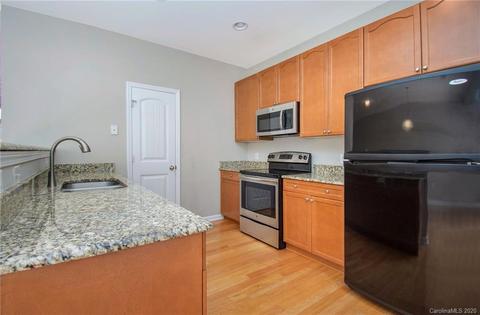 913 Central Park Cir, Davidson, NC 28036 photo 6
