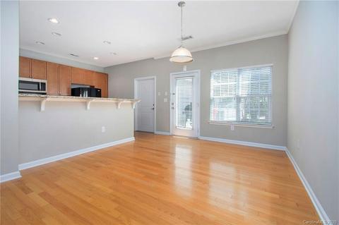 913 Central Park Cir, Davidson, NC 28036 photo 4