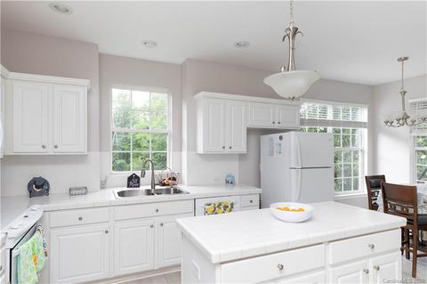 332 Brixham Pl, Fort Mill, SC 29708 photo 8