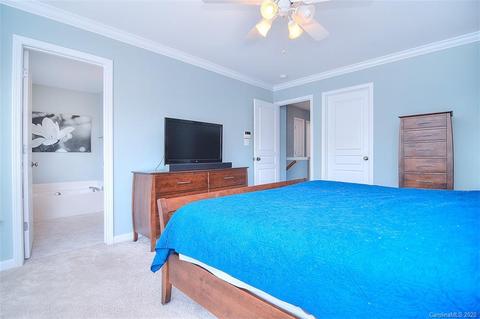 18705 Ronceverte Dr, Cornelius, NC 28031 photo 19