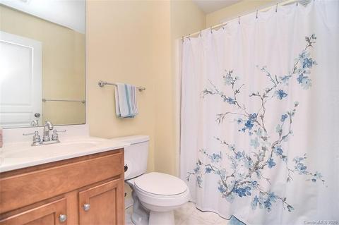 18705 Ronceverte Dr, Cornelius, NC 28031 photo 24